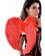 Red Fairy Feather Angel Wings