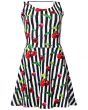Cherry Tart Monochrome Striped Vintage Retro Print Skater Dress