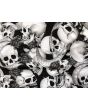 Gothic Floral Skull Roses Banner Pattern Stretch Spandex Fabric Stunning Dressmaking Dancewear Leotards Leggings Goth Punk Emo