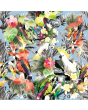 Exotic Tropical Birds Parrots Hawaii Retro 50's Print Stretch Spandex Polyester Fabric Stunning Sewing Dressmaking Festival Apparel Costume