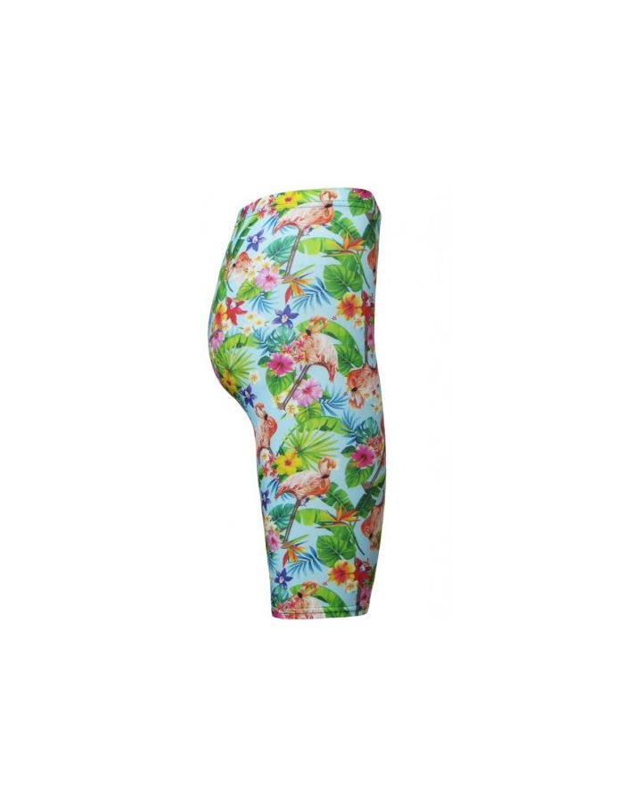 Tropical Flamingo Flowers Floral Retro Vintage Printed Cycle Shorts 